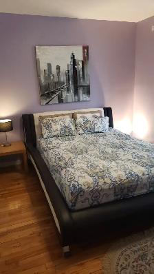 Fully Furnished Bright Spacious All Utilities incl. 3 1/2 July 1
