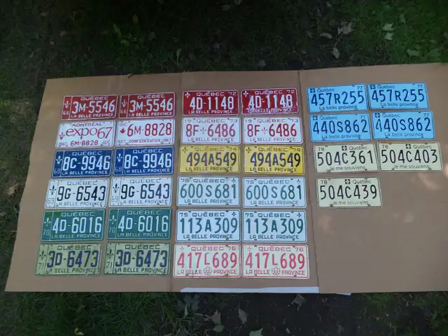 Lot plaques auto