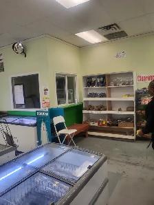 Afro-Caribbean Grocery Store for Sale – Fort McMurray, Alberta - Photo 5