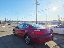 2008 Honda Accord Coupe EXL Leather Heated Seats Sunroof - Photo 6