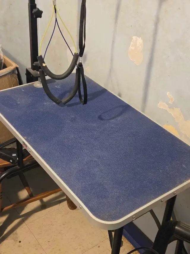 Grooming Table