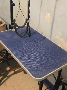 Grooming Table