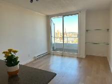 Bright Downtown Condo - 15th Floor The Manhattan - Photo 2