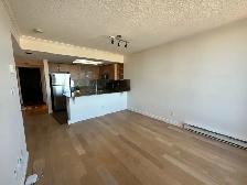 Bright Downtown Condo - 15th Floor The Manhattan - Photo 3