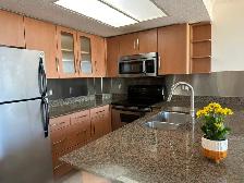 Bright Downtown Condo - 15th Floor The Manhattan - Photo 7