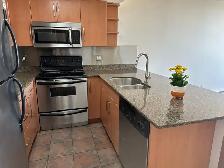 Bright Downtown Condo - 15th Floor The Manhattan - Photo 8