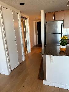 Bright Downtown Condo - 15th Floor The Manhattan - Photo 10