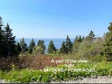 Water View - Land For Sale - By Owner - Photo 4
