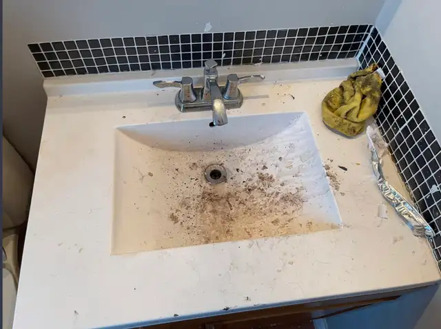Eli’s professional cleaner service