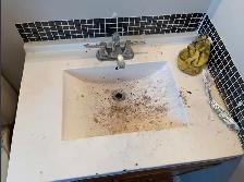 Eli’s professional cleaner service