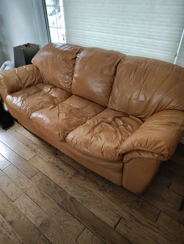 Natuzzi leather couch