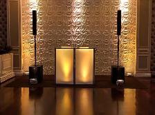 BEST BOLLYWOOD/PUNJABI/PAKISTANI DJ FOR YOUR EVENT