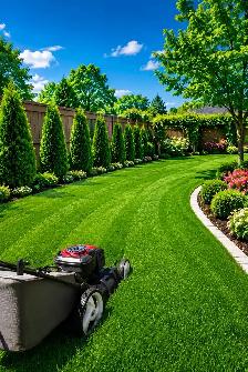 Lawn care and Garden maintenance
