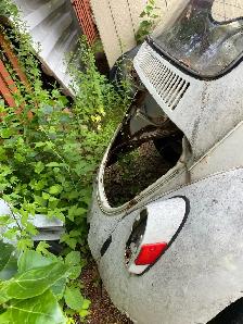 1972 Super Beetle - Photo 3