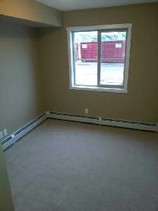 AVAILABLE ASAP IN WALKER LAKES - Photo 4