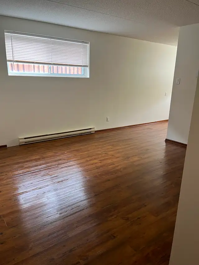 Newly renovated 1 bdrm Bsmt apt in central area