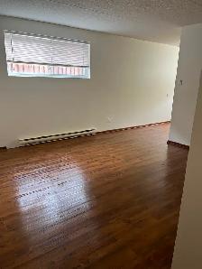 Newly renovated 1 bdrm Bsmt apt in central area