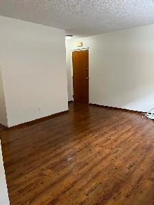 Newly renovated 1 bdrm Bsmt apt in central area - Photo 2
