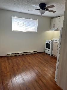 Newly renovated 1 bdrm Bsmt apt in central area - Photo 3