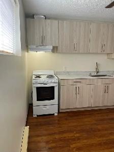 Newly renovated 1 bdrm Bsmt apt in central area - Photo 4