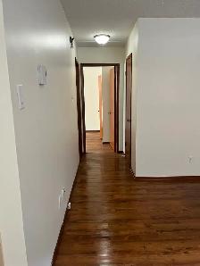 Newly renovated 1 bdrm Bsmt apt in central area - Photo 6