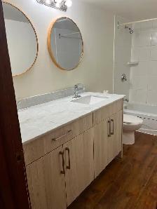 Newly renovated 1 bdrm Bsmt apt in central area - Photo 7