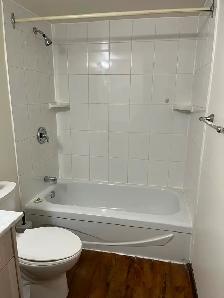 Newly renovated 1 bdrm Bsmt apt in central area - Photo 8