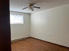 Newly renovated 1 bdrm Bsmt apt in central area - Photo 9