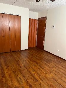 Newly renovated 1 bdrm Bsmt apt in central area - Photo 10