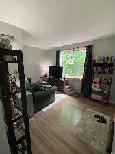 Bright & Renovated 1-Bedroom Apartment in the Heart of Vanier – - Photo 5