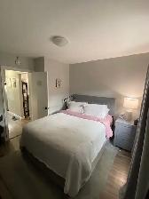 Bright & Renovated 1-Bedroom Apartment in the Heart of Vanier – - Photo 6