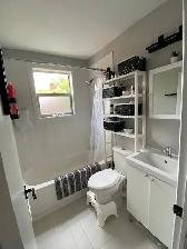 Bright & Renovated 1-Bedroom Apartment in the Heart of Vanier – - Photo 7