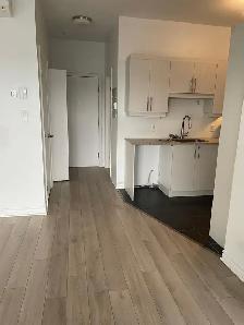 3 1/2 DIX30 BROSSARD AVAILABLE IMMEDIATELY - Photo 3