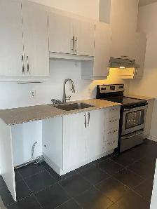 3 1/2 DIX30 BROSSARD AVAILABLE IMMEDIATELY - Photo 6
