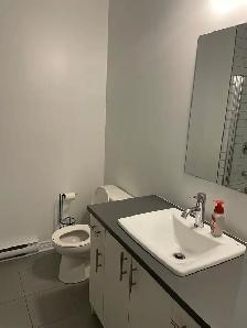 3 1/2 DIX30 BROSSARD AVAILABLE IMMEDIATELY - Photo 9