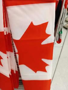 Canada Themed Party Accessories - Photo 3
