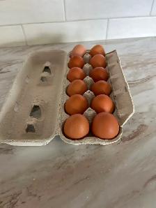 FARM FRESH EGGS - Photo 2