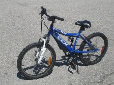 OUTGROWN BOY'S OR GIRL'S 20' CCM FS20 6 SPDS WITH SUSPENSION! - Photo 2