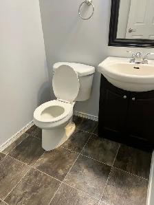 North Battleford - 3 Bedrooms house available for rent - Photo 4