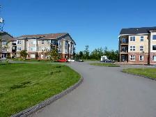 Spacious one bedroom plus den for rent August 1 Truro - Photo 8