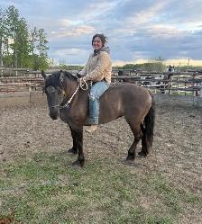 Horse Training Colt Starting
