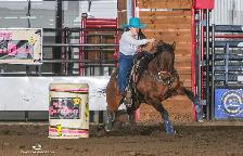 Horse Training Colt Starting - Photo 3