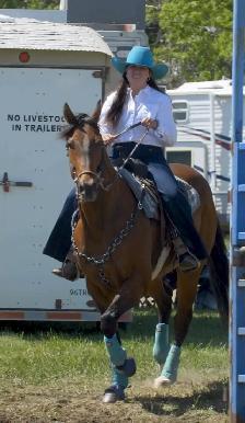 Horse Training Colt Starting - Photo 5