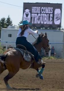 Horse Training Colt Starting - Photo 6