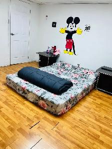 Sharing room for girl - Photo 6