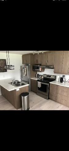 LOGEMENT A LOUER A ST-RÉMI - Photo 3