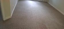 truckmounted steam carpet cleaning services - Photo 5