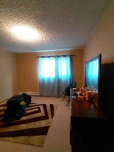 Apartment for rent near Kingsway Mall, NAIT Campus & Downtown - Photo 4