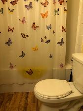 short term rentals - Photo 2
