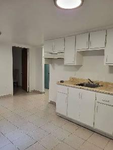 Newly renovated 2-1/2 near Metro Monk - Photo 3